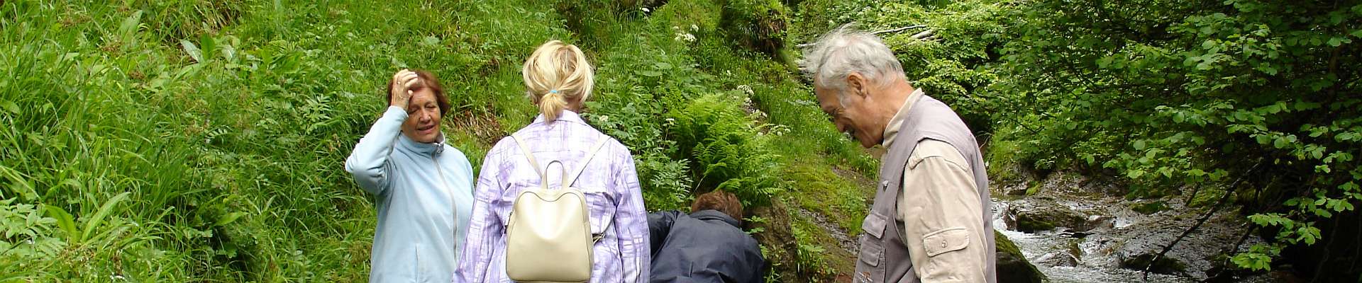 Click to show or hide the buttons