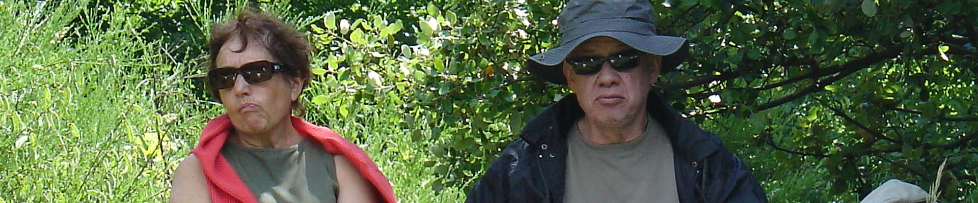 Click to show or hide the buttons