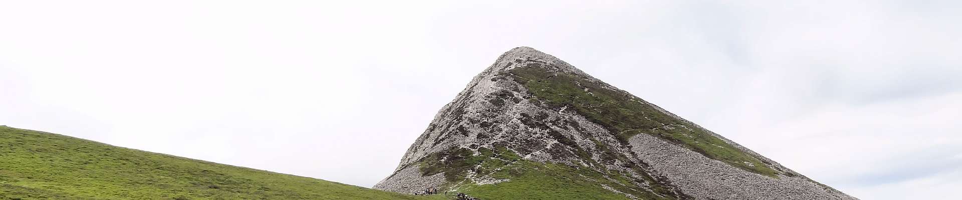 Click to show or hide the buttons