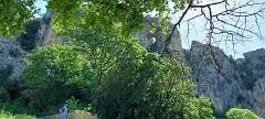 130: Vallon Pont D'Arc Mai 2022  (112)