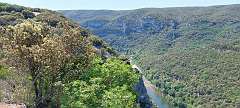 150: Vallon Pont D'Arc Mai 2022  (132)