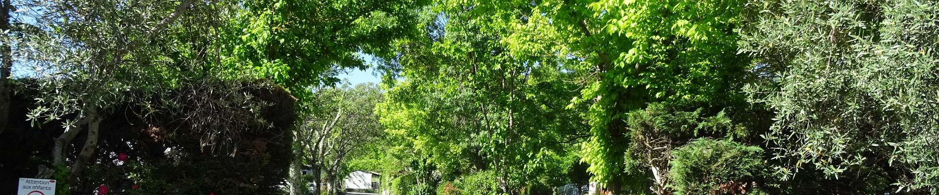 Cliquer pour montrer ou cacher les boutons du haut