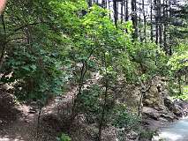 11: Gorges de Trevant Juin 2023  (160)